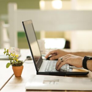 online, connection, laptop, plant, nature, workstation, pot, work, table, workspace, technology