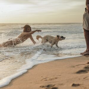 a man and a dog playing in the water at the beach
