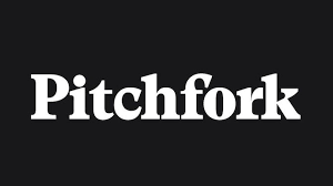 Feature Article in Pitchfork