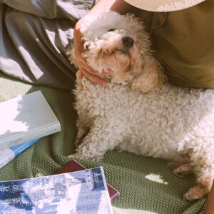 Woman pets a dog, relaxing outdoors.